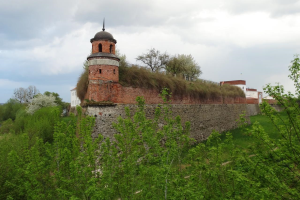 Дубенский замок